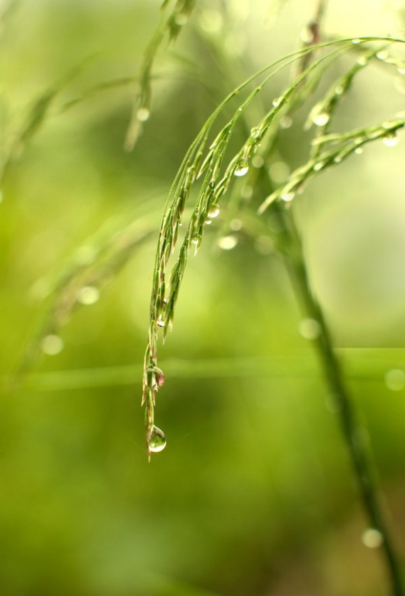 Afirmacije su jedan od najmoćnijih načina da ono što najviše želite pretvorite u konzistentnu misao.