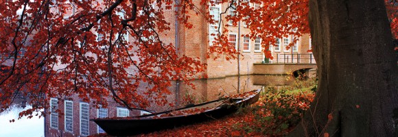 photo by: lieveheersbeestje